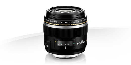 CANON EF-S60mm F2.8 マクロ USM | www.jarussi.com.br